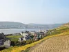 rudesheim-12